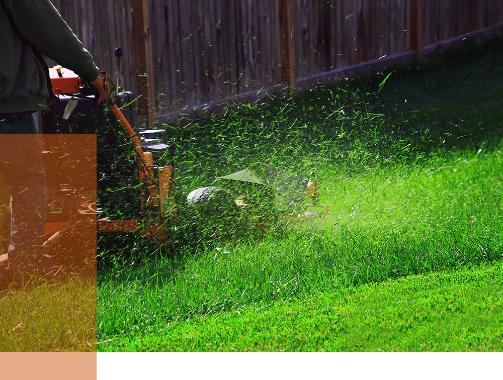 The Heights, TX Property Management Services Get Started Now Shannon Property Management